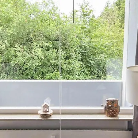 Lejlighed Harz Oase - Waeschepakete Inklusive - Blick Ins Gruene *