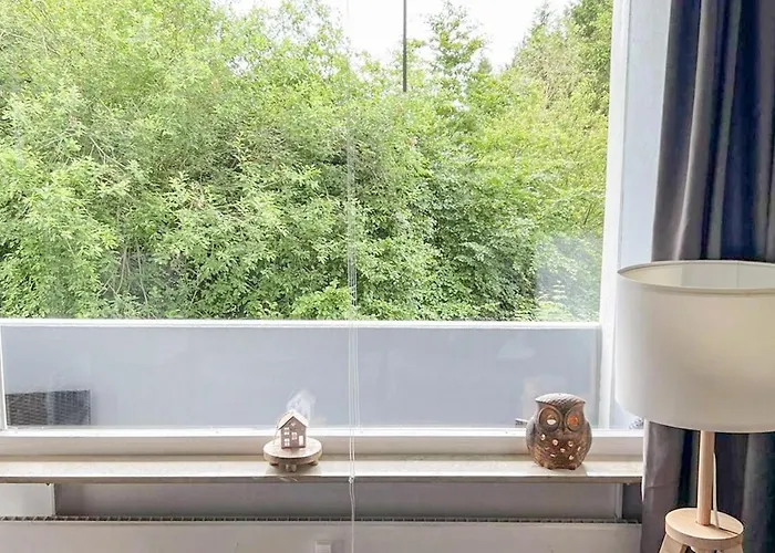Daire Harz Oase - Waeschepakete Inklusive - Blick Ins Gruene *